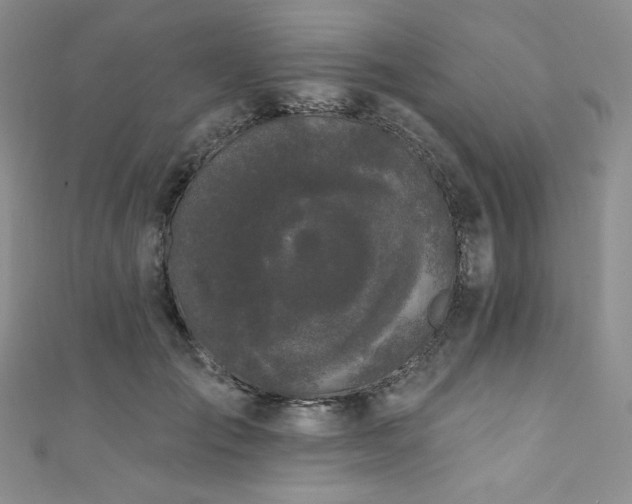 X0000111890701200907231556