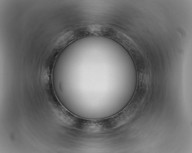 X0000111890702200907231556
