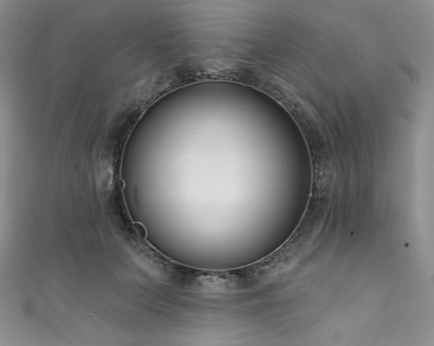 X0000111890703200907231556