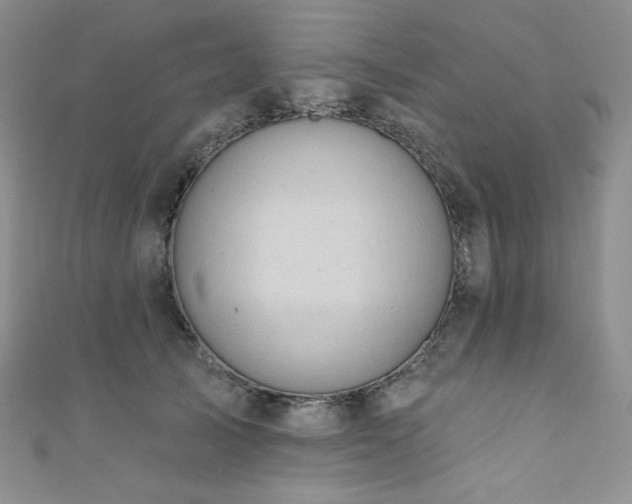 X0000111890705200907231556