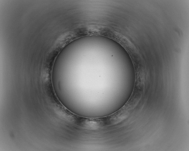 X0000111890706200907231556