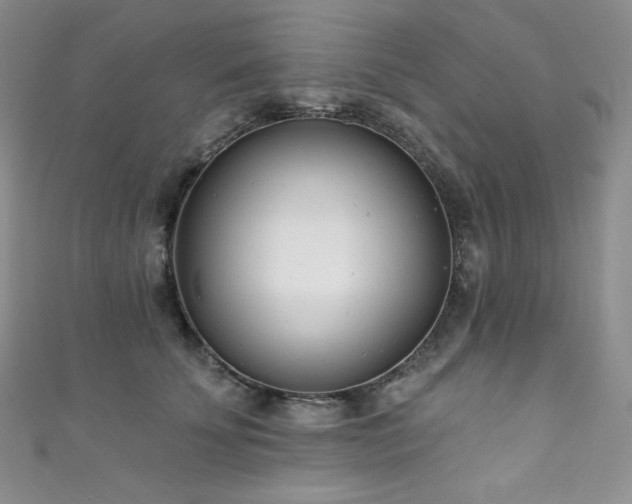 X0000111890707200907231556