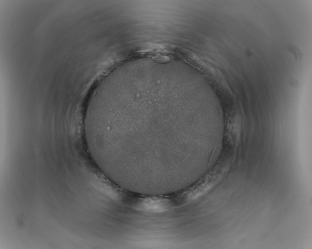 X0000111890708200907231556