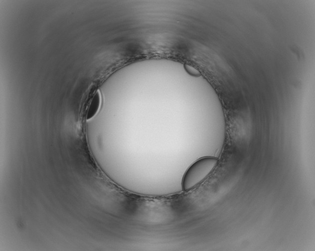 X0000111890709200907231556