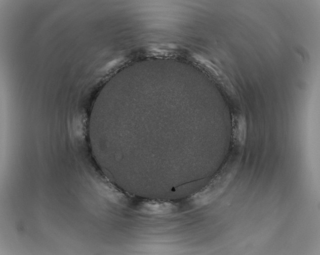 X0000111890712200907231556