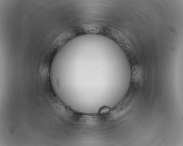 X0000111890713200907231556