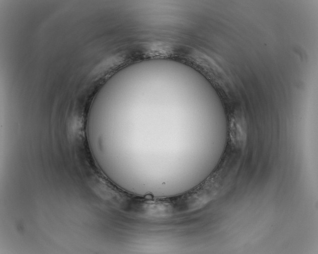 X0000111890714200907231556