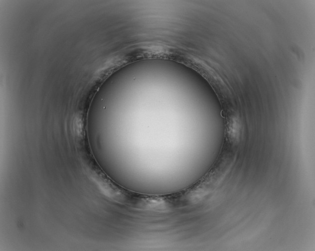 X0000111890715200907231556