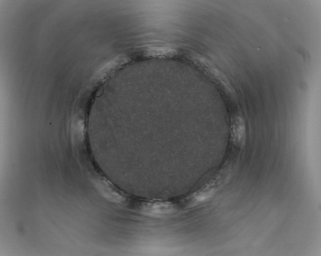 X0000111890716200907231556