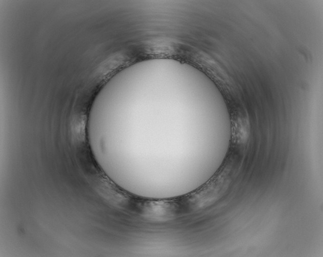 X0000111890717200907231556
