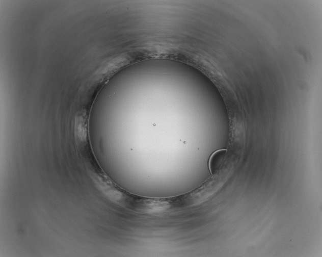 X0000111890719200907231556