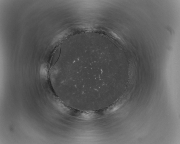 X0000111890720200907231556