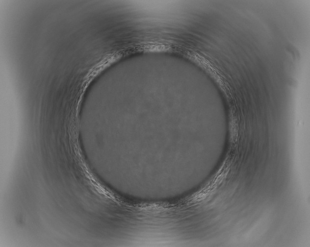 X0000111890721200907231555