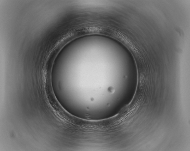 X0000111890722200907231556