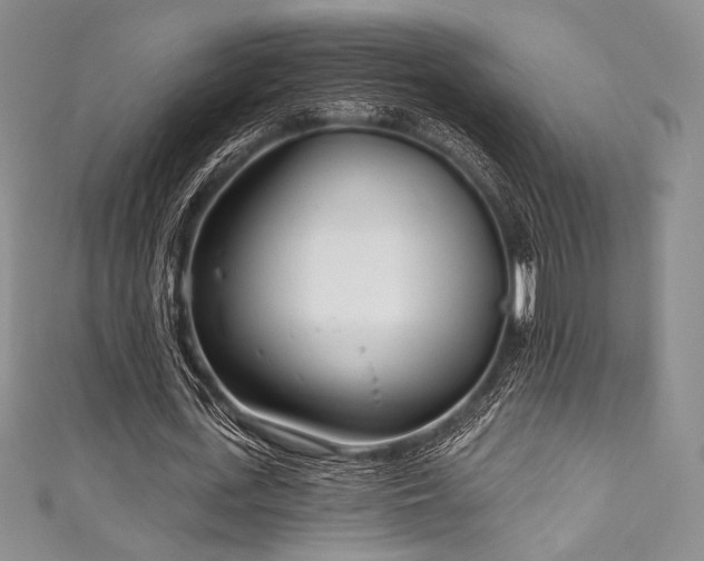 X0000111890723200907231556