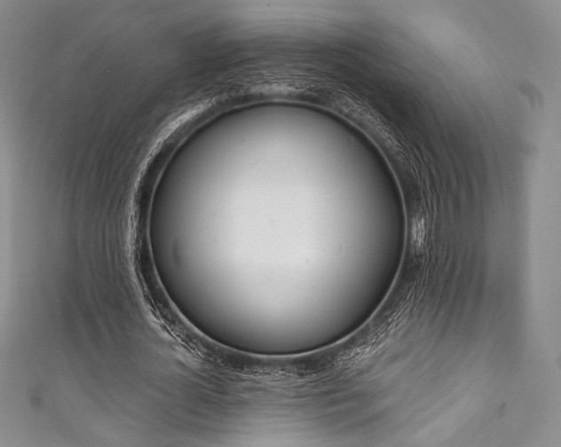 X0000111890724200907231556