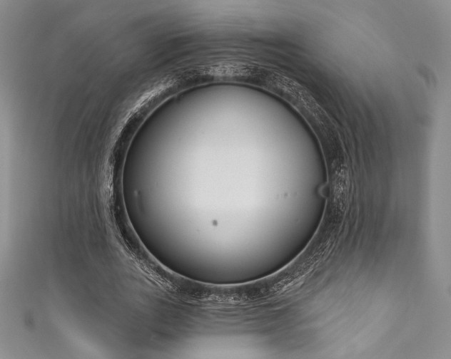X0000111890727200907231556