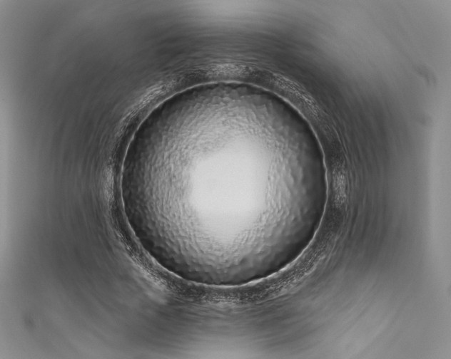 X0000111890729200907231556