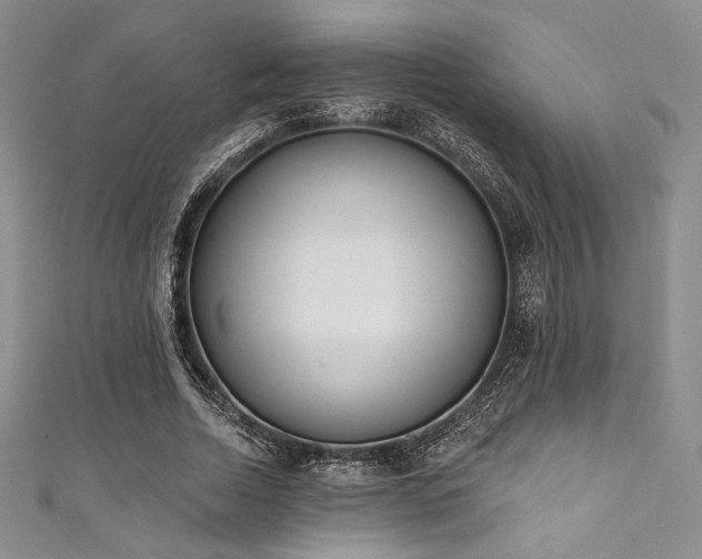 X0000111890730200907231556