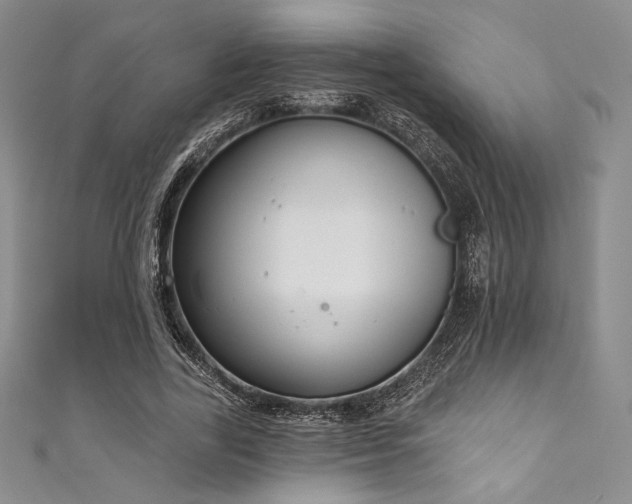 X0000111890731200907231556