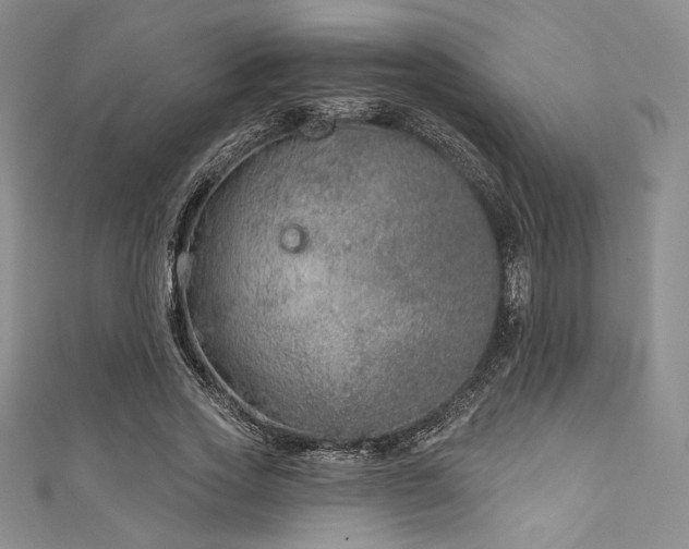 X0000111890733200907231556