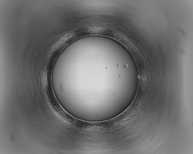 X0000111890734200907231556