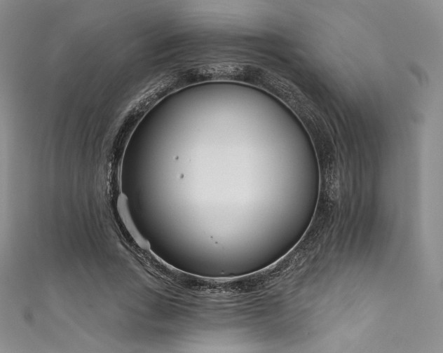 X0000111890735200907231556