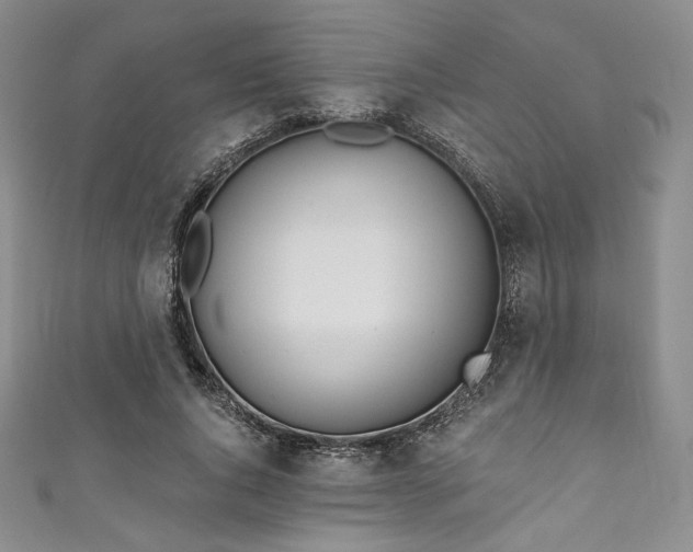 X0000111890736200907231556