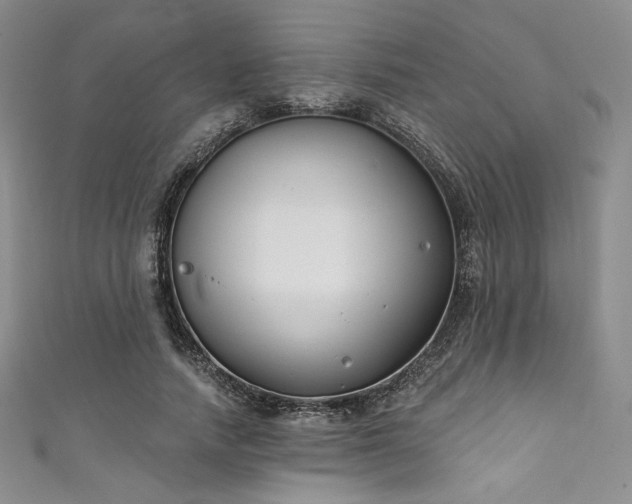X0000111890738200907231556