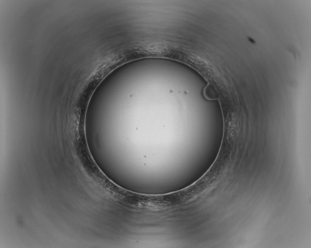 X0000111890739200907231556