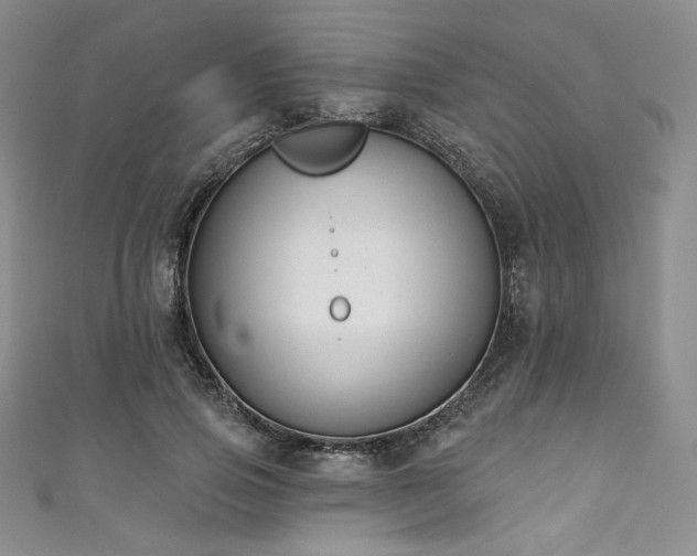 X0000111890741200907231556