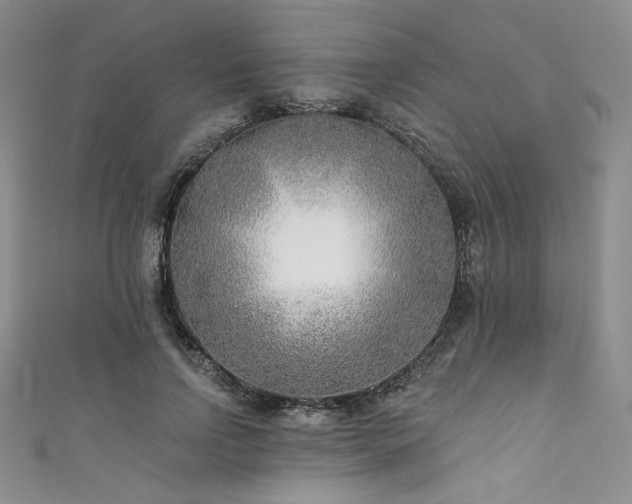 X0000111890742200907231556