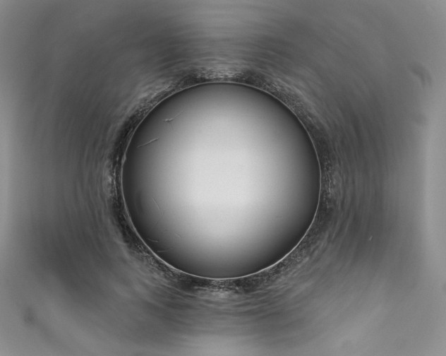 X0000111890743200907231556