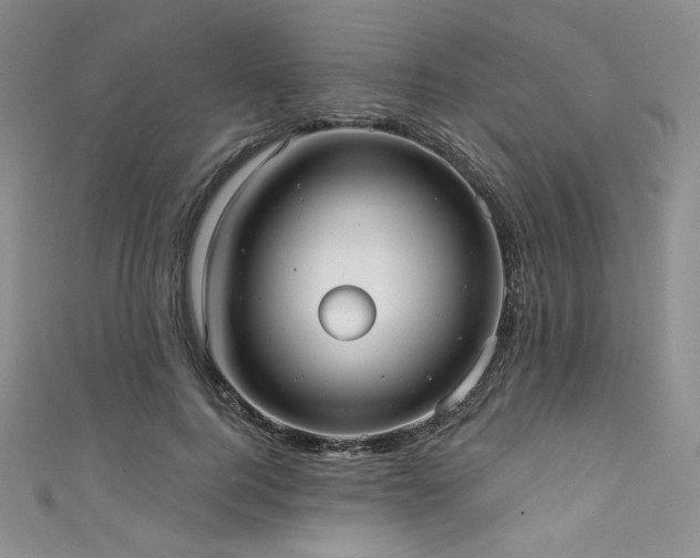 X0000111890744200907231556