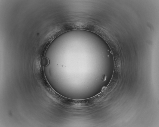 X0000111890746200907231556