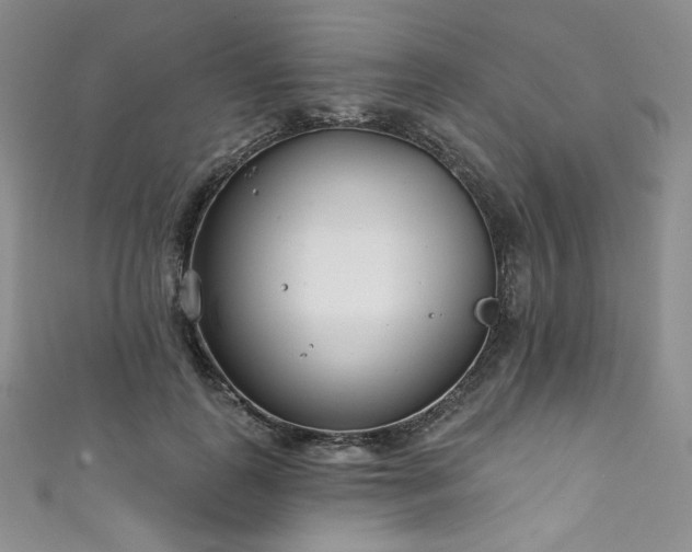 X0000111890747200907231556