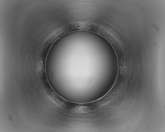X0000111890748200907231556