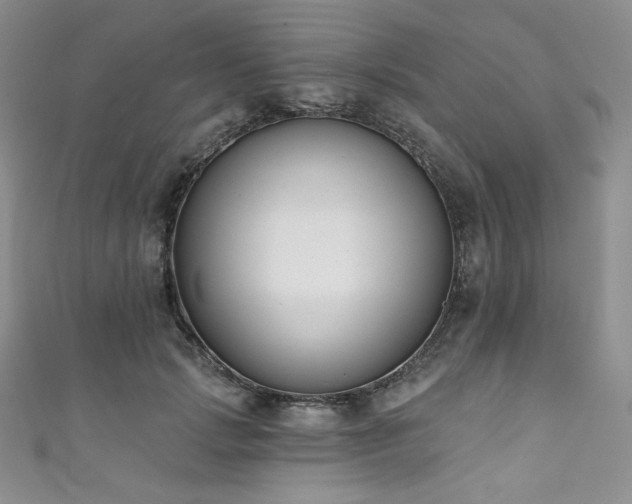 X0000111890749200907231556