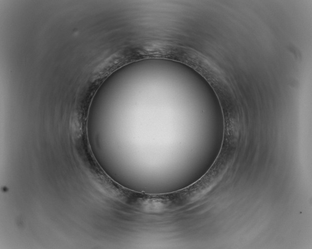 X0000111890751200907231556