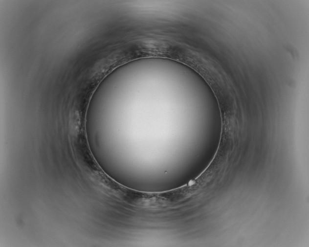 X0000111890752200907231556
