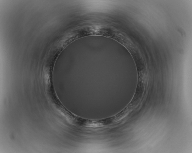 X0000111890754200907231556
