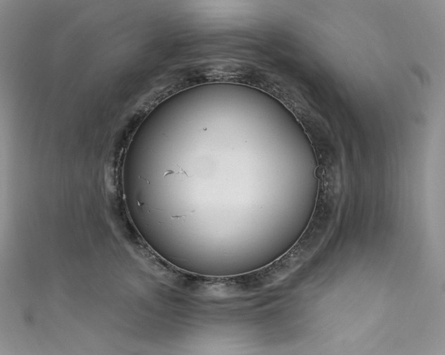 X0000111890755200907231556