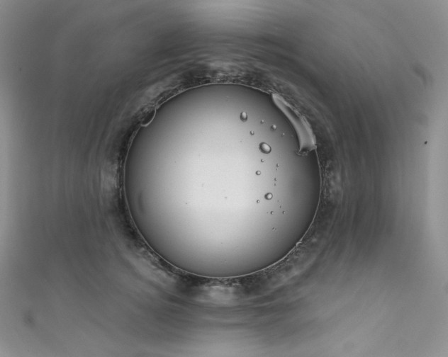 X0000111890756200907231556