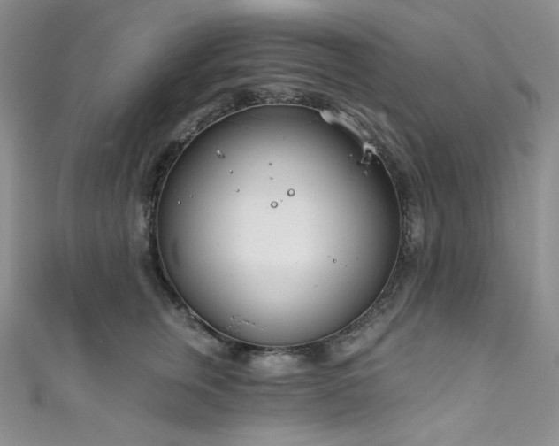 X0000111890759200907231556