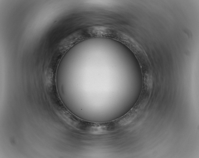 X0000111890760200907231556