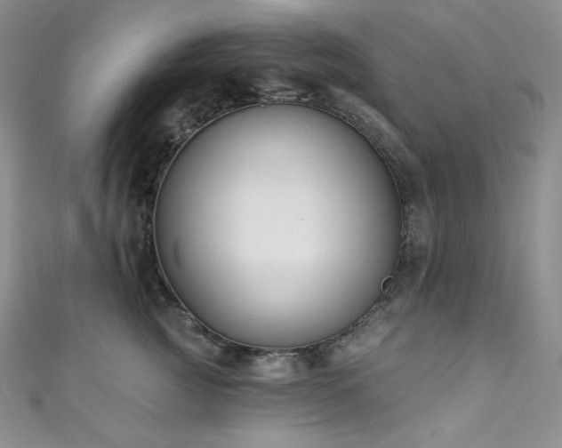 X0000111890761200907231556
