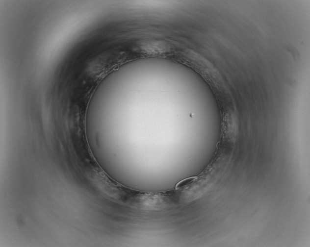X0000111890762200907231556