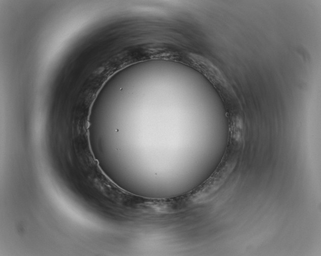 X0000111890763200907231556
