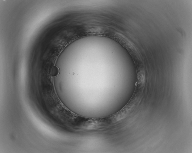 X0000111890764200907231556
