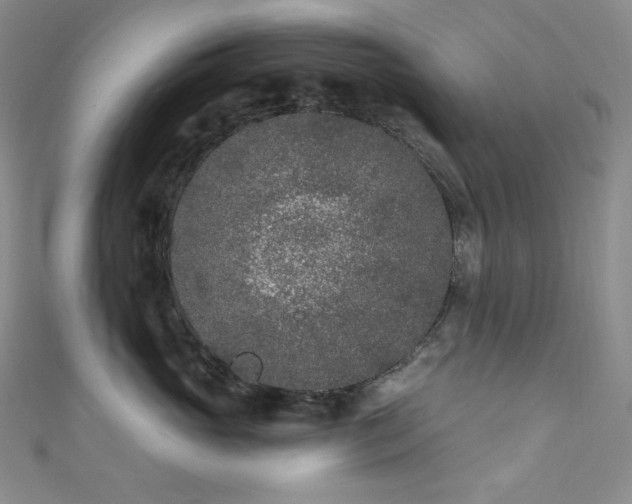 X0000111890765200907231556